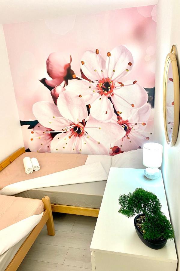 Apartment Beshtie Zadar Dış mekan fotoğraf